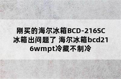 刚买的海尔冰箱BCD-216SC冰箱出问题了 海尔冰箱bcd216wmpt冷藏不制冷